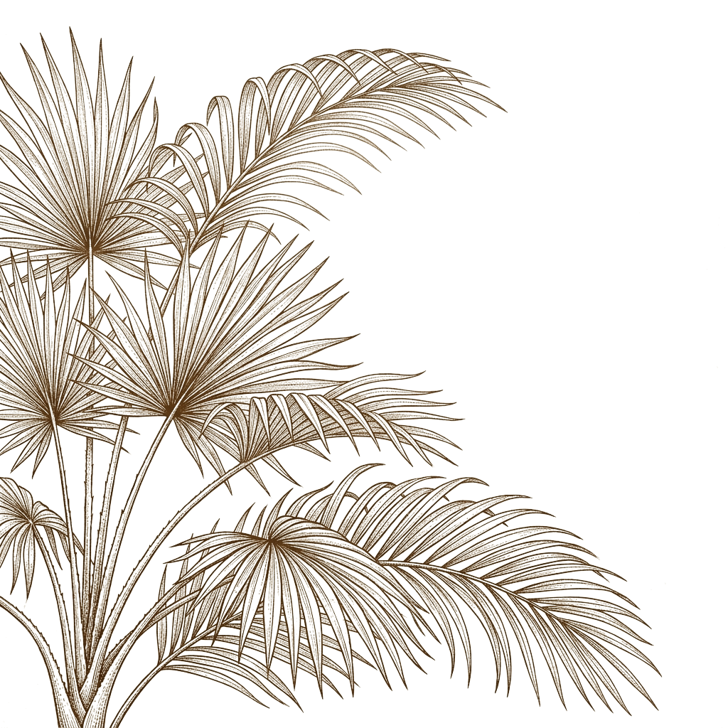 Botanical Palm Tree Etching