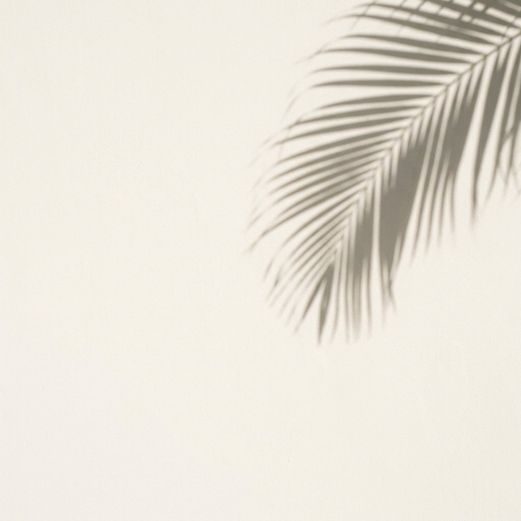 Tropical Palm Shadow